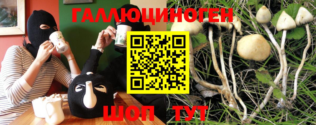 купить наркотики цена  Вход с VPN  Нерюнгри  Галлюциногенные грибы GOLDEN TEACHER 